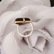 Ring ~ Gouden 14 karaats Ring met Onyx 