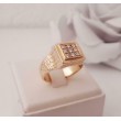 Ring ~ WAYNE Gouden 14 karaats Heren Ring Diamant